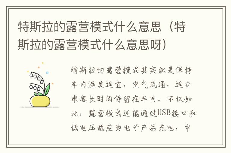 特斯拉的露营模式什么意思呀 特斯拉的露营模式什么意思