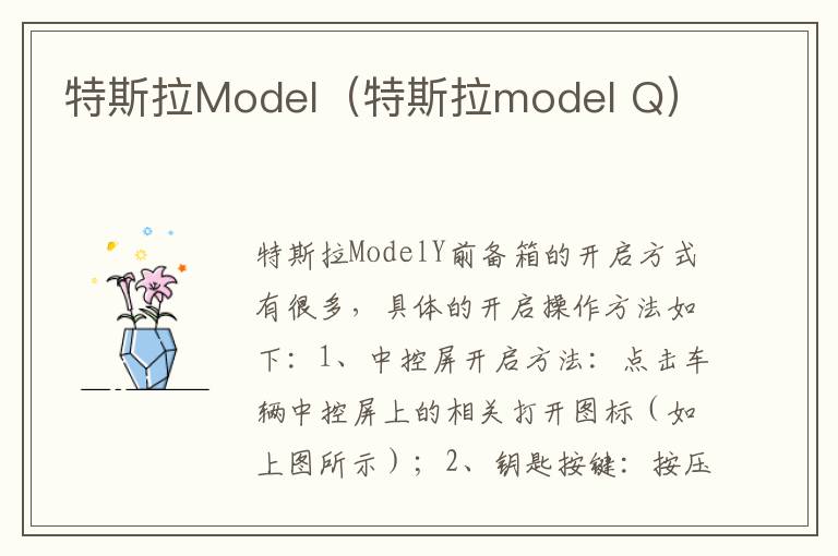 特斯拉model Q 特斯拉Model