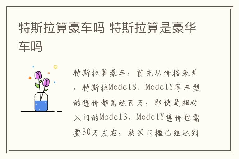 特斯拉算是豪华车吗 特斯拉算豪车吗