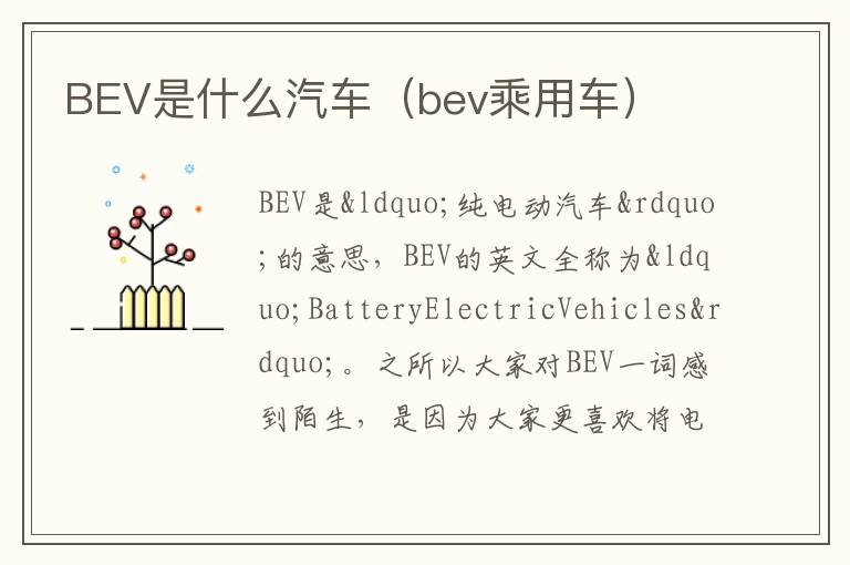 bev乘用车 BEV是什么汽车