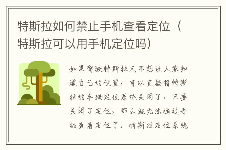 特斯拉可以用手机定位吗 特斯拉如何禁止手机查看定位