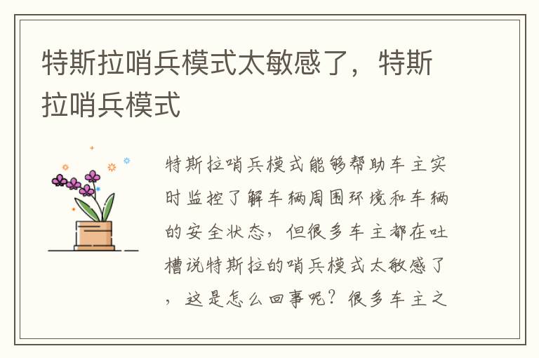 特斯拉哨兵模式 特斯拉哨兵模式太敏感了