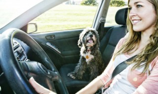 怎样防止汽车轮胎爆胎 如何防止汽车爆胎