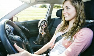 如何防止汽车自燃事件 如何防止汽车自燃