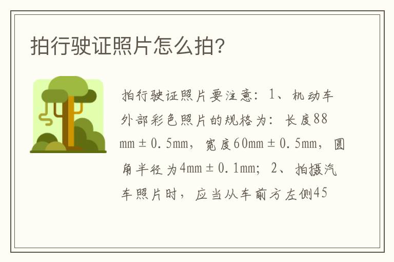 拍行驶证照片怎么拍 拍行驶证照片怎么拍