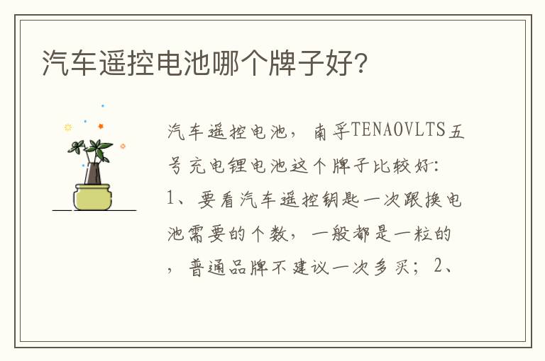 汽车遥控电池哪个牌子好 汽车遥控电池哪个牌子好