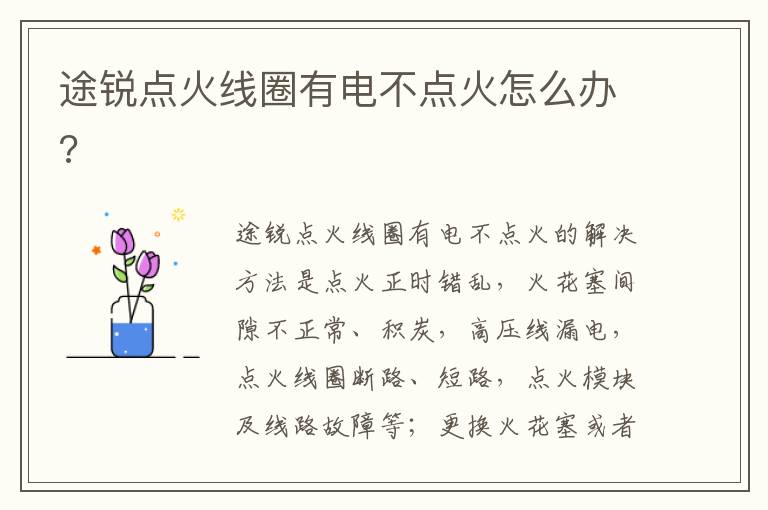 途锐点火线圈有电不点火怎么办 途锐点火线圈有电不点火怎么办