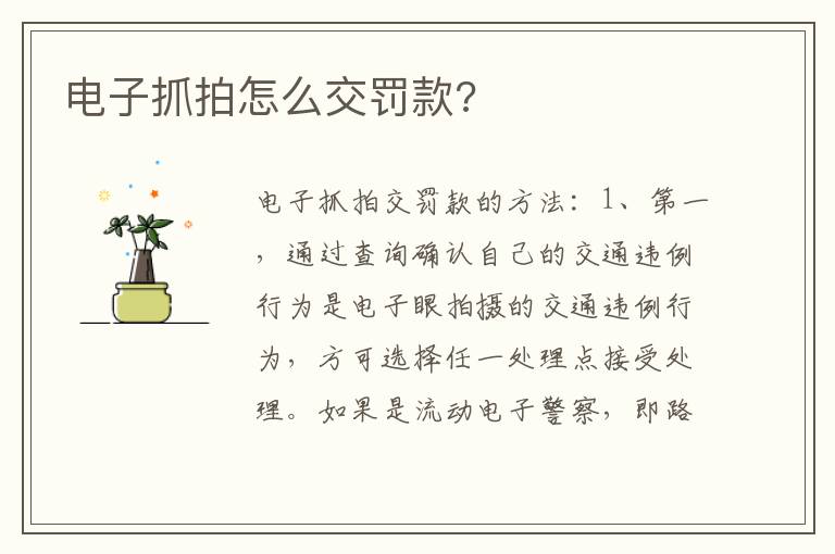 电子抓拍怎么交罚款 电子抓拍怎么交罚款
