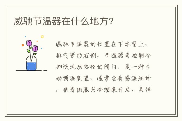 威驰节温器在什么地方 威驰节温器在什么地方