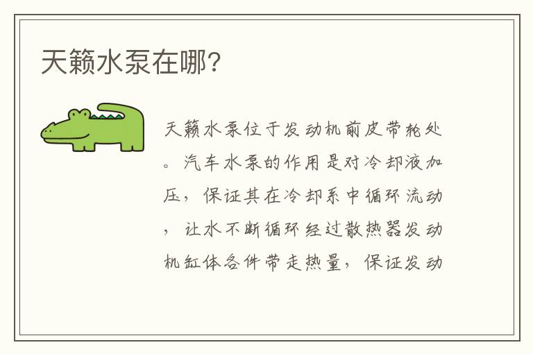 天籁水泵在哪 天籁水泵在哪