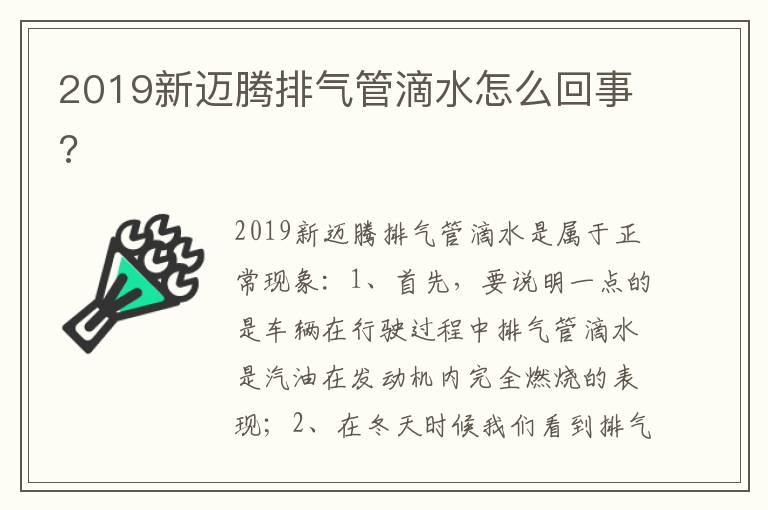 2019新迈腾排气管滴水怎么回事 2019新迈腾排气管滴水怎么回事