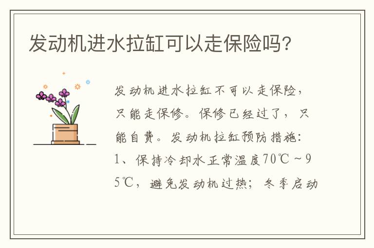 发动机进水拉缸可以走保险吗 发动机进水拉缸可以走保险吗