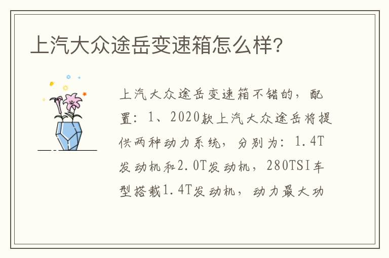 上汽大众途岳变速箱怎么样 上汽大众途岳变速箱怎么样