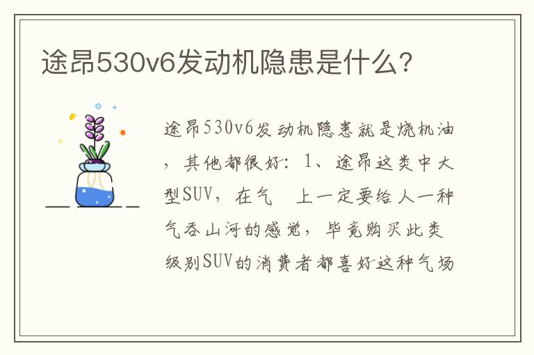 途昂530v6发动机隐患是什么 途昂530v6发动机隐患是什么