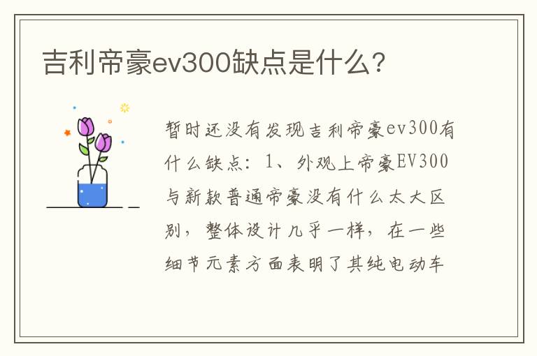 吉利帝豪ev300缺点是什么 吉利帝豪ev300缺点是什么