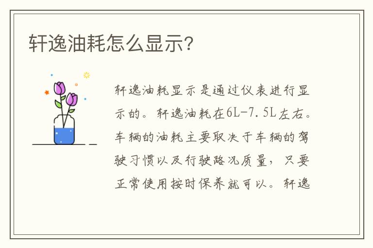 轩逸油耗怎么显示 轩逸油耗怎么显示