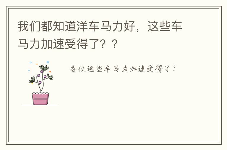 这些车马力加速受得了 我们都知道洋车马力好