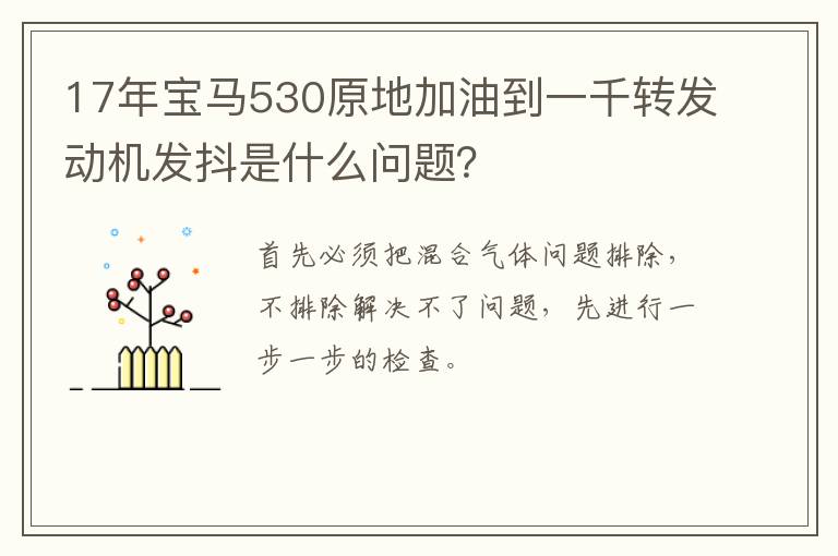 17年宝马530原地加油到一千转发动机发抖是什么问题 17年宝马530原地加油到一千转发动机发抖是什么问题