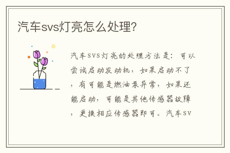 汽车svs灯亮怎么处理 汽车svs灯亮怎么处理