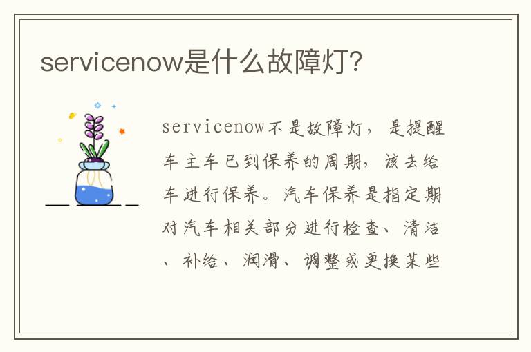 servicenow是什么故障灯 servicenow是什么故障灯