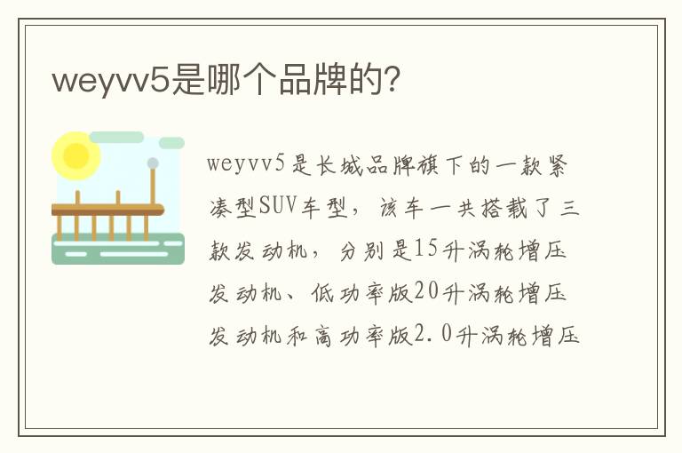 weyvv5是哪个品牌的 weyvv5是哪个品牌的