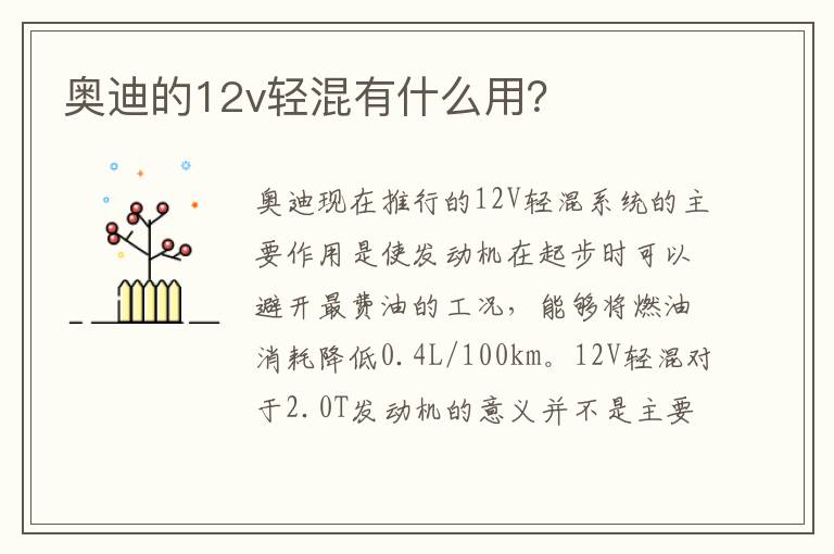 奥迪的12v轻混有什么用 奥迪的12v轻混有什么用