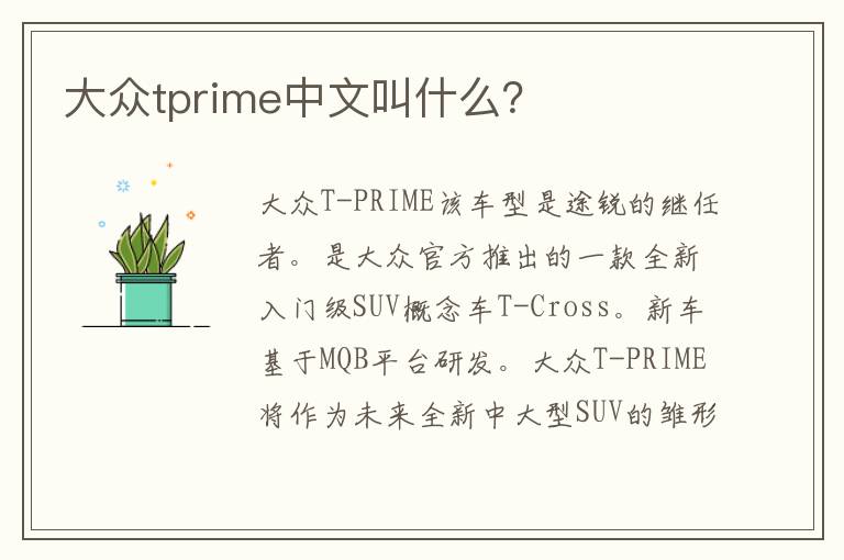 大众tprime中文叫什么 大众tprime中文叫什么