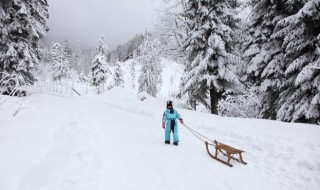 雪在车上不清理伤车吗 为什么很多人不清理车上雪