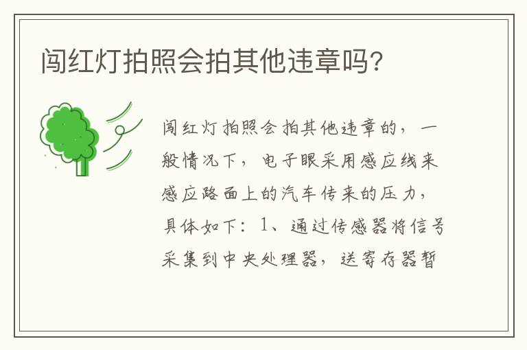 闯红灯拍照会拍其他违章吗 闯红灯拍照会拍其他违章吗