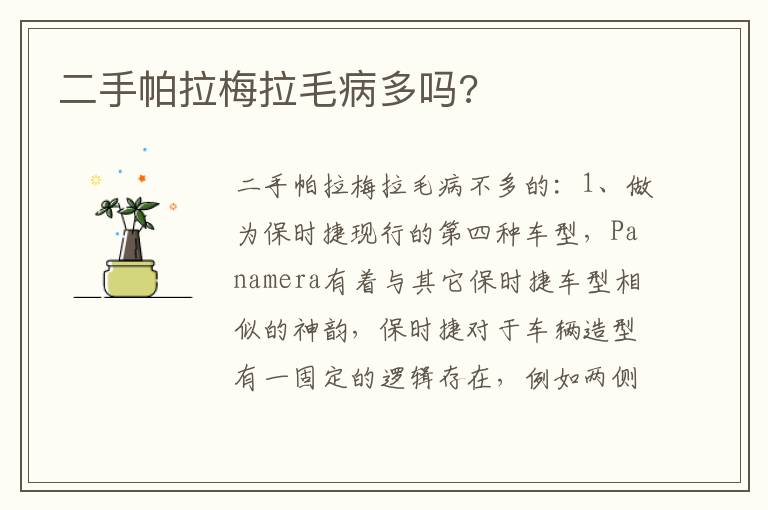 二手帕拉梅拉毛病多吗 二手帕拉梅拉毛病多吗