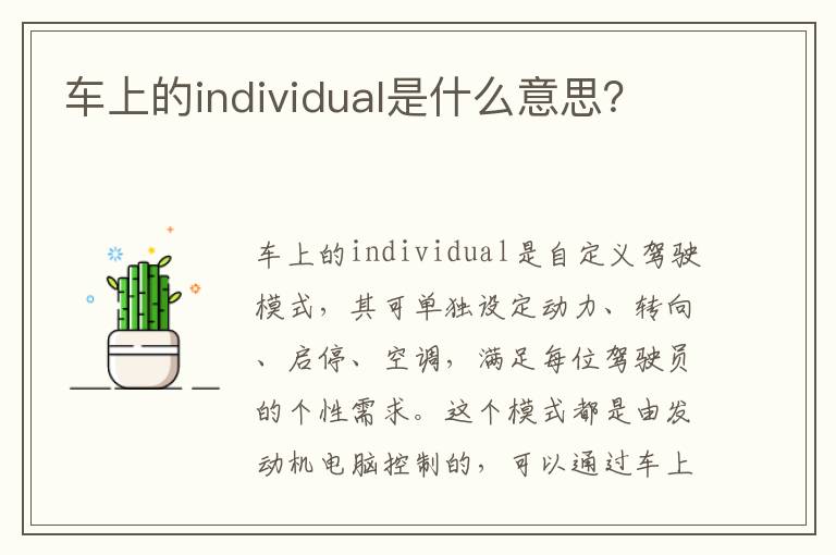 车上的individual是什么意思 车上的individual是什么意思