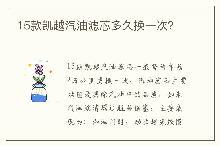 15款凯越汽油滤芯多久换一次 15款凯越汽油滤芯多久换一次