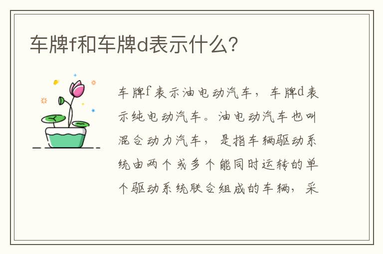 车牌f和车牌d表示什么 车牌f和车牌d表示什么