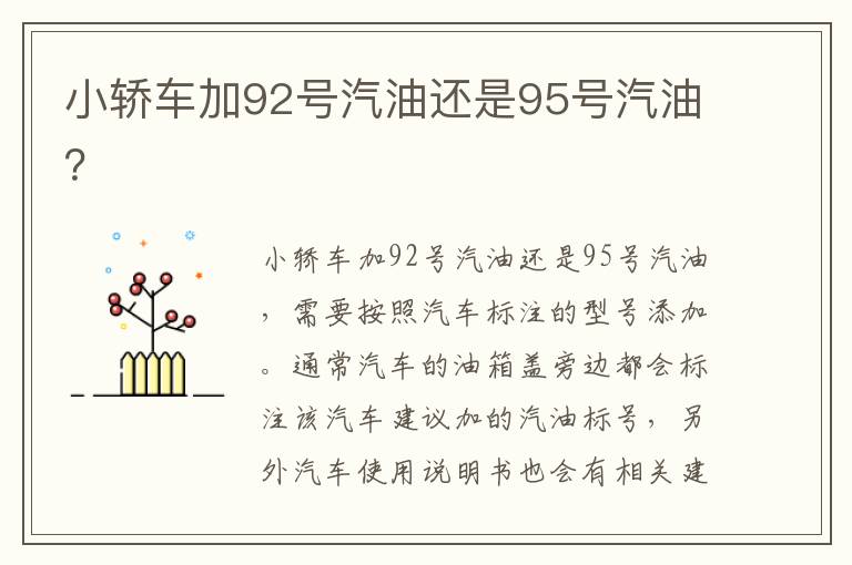 小轿车加92号汽油还是95号汽油 小轿车加92号汽油还是95号汽油