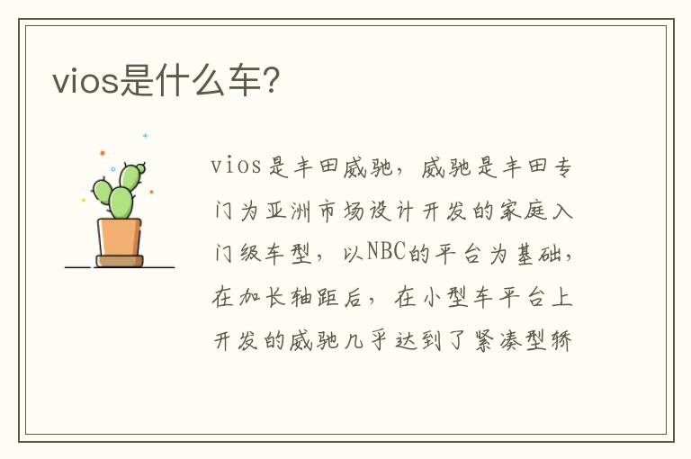 vios是什么车 vios是什么车