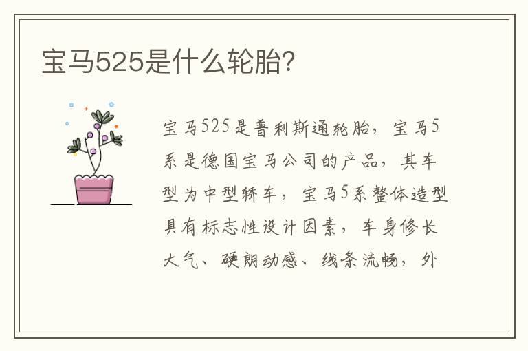 宝马525是什么轮胎 宝马525是什么轮胎