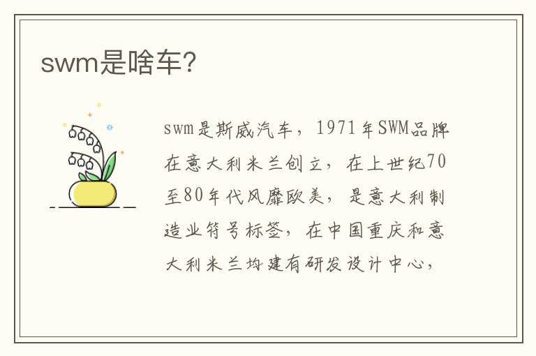 swm是啥车 swm是啥车