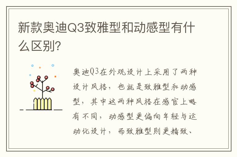 新款奥迪Q3致雅型和动感型有什么区别 新款奥迪Q3致雅型和动感型有什么区别