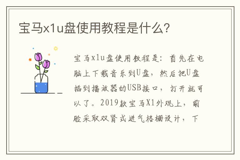 宝马x1u盘使用教程是什么 宝马x1u盘使用教程是什么