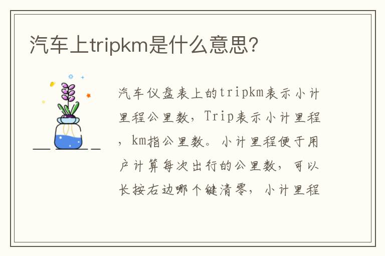 汽车上tripkm是什么意思 汽车上tripkm是什么意思