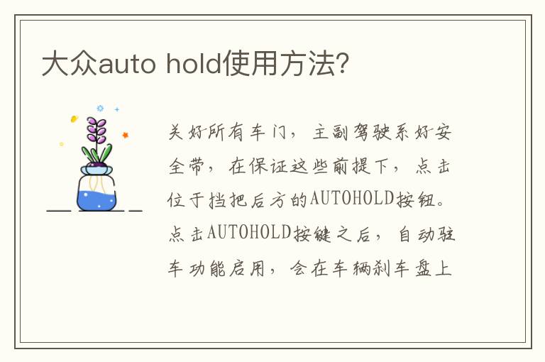 hold使用方法 大众auto