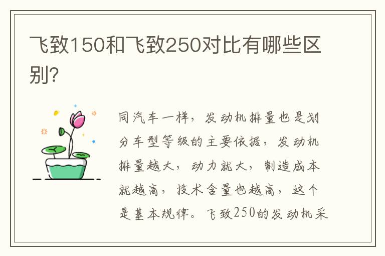 飞致150和飞致250对比有哪些区别 飞致150和飞致250对比有哪些区别