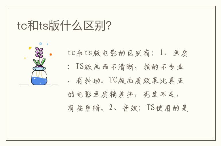 tc和ts版什么区别 tc和ts版什么区别