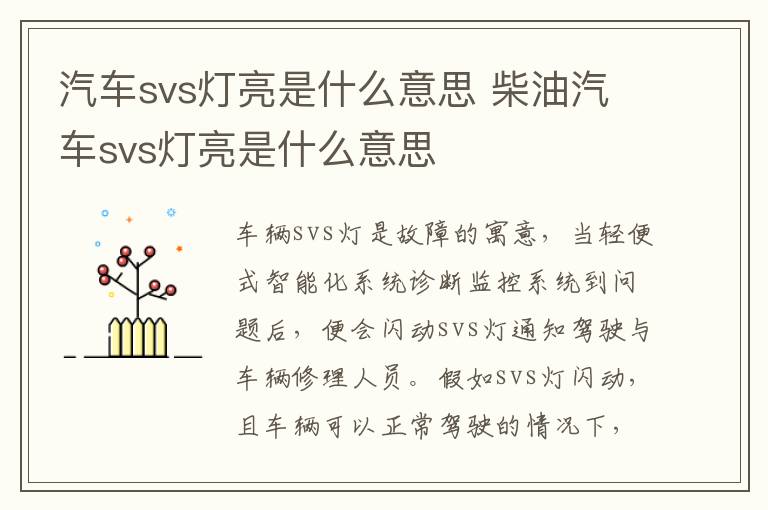 柴油汽车svs灯亮是什么意思 汽车svs灯亮是什么意思