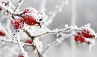 冬天汽车改空调滤芯可以吗吗 冬天汽车改空调滤芯可以吗