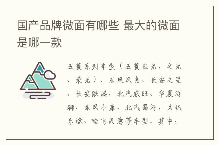 最大的微面是哪一款 国产品牌微面有哪些