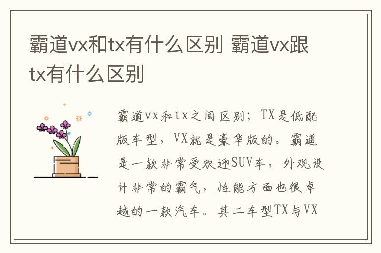 霸道vx跟tx有什么区别 霸道vx和tx有什么区别