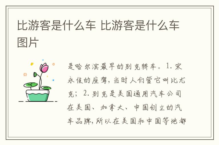 比游客是什么车图片 比游客是什么车