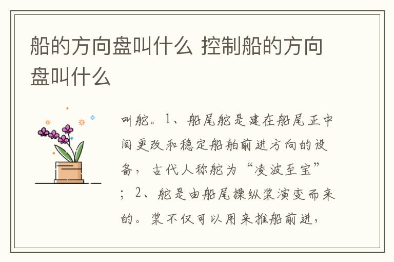 控制船的方向盘叫什么 船的方向盘叫什么