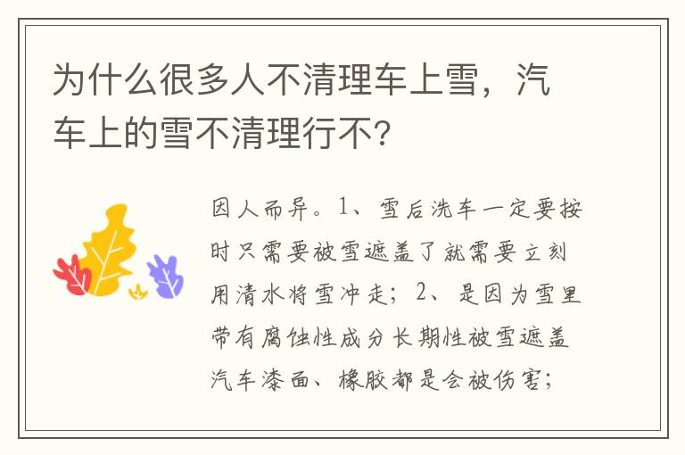 汽车上的雪不清理行不 为什么很多人不清理车上雪